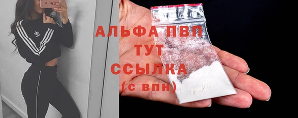 МДПВ Новодвинск