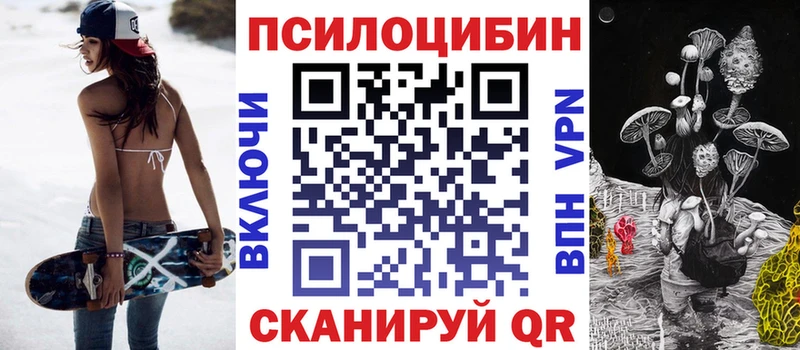 блэк спрут зеркало  Козельск  Псилоцибиновые грибы Psilocybe 
